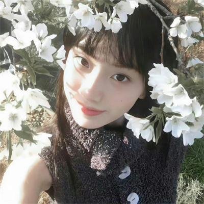 总理：先驱