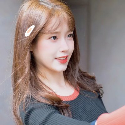 假元首秘纪